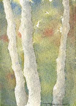 "Little Birches" by Tania Thousand, Madison WI - Watercolor